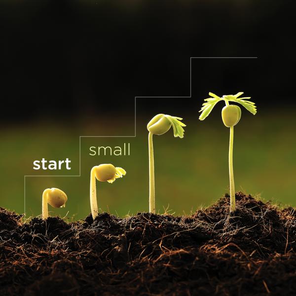 Image result for start small